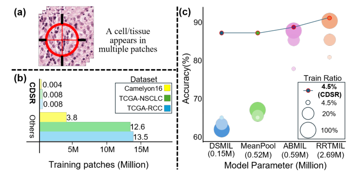 Fig. 1 CDSR