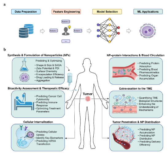 Fig. 1 ML-Enhanced Nanoparticle Design