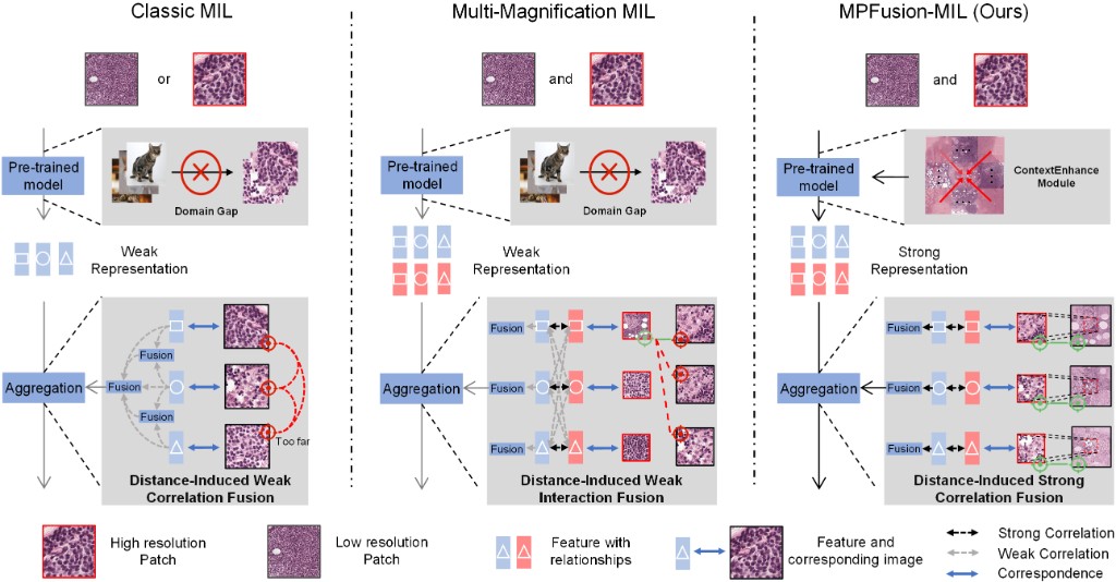 Fig. 1 MPFusion-MIL